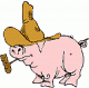 HillBilly's Avatar