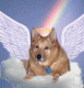 Preciousbear's Avatar