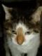 Moreta61's Avatar