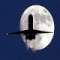 Aeronut's Avatar