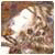 CocoChanels's Avatar