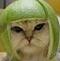 Tepav's Avatar