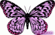 tweetone43's Avatar