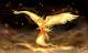 phenomenal spirit's Avatar