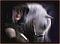 sundee's Avatar