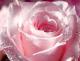 eisamarin@hotmail.com's Avatar