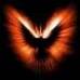 Ente's Avatar