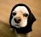 Velcro's Avatar