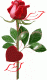 loretta646's Avatar