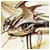 rs232toUSB34's Avatar