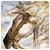 Grygechta's Avatar