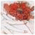 LertKistrep's Avatar
