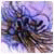 brommaloatigo's Avatar
