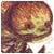 tutfloumn's Avatar