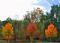 maui bed&breakfast farms's Avatar